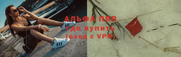 индика Арсеньев