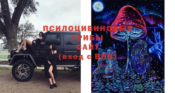 индика Арсеньев