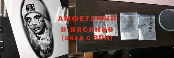 индика Арсеньев