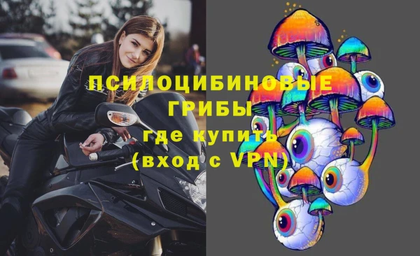 индика Арсеньев