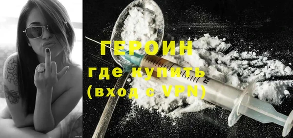 индика Арсеньев