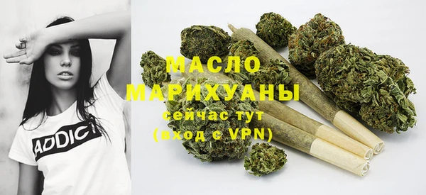 индика Арсеньев