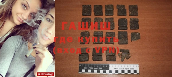 индика Арсеньев