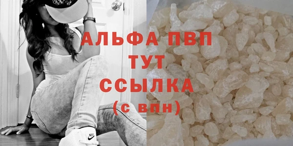 индика Арсеньев